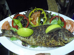 Vorspeisen - Hauptgerichte