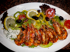 Vorspeisen - Hauptgerichte